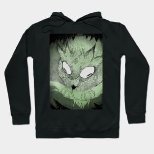 What do your owl eyes see? Hoodie